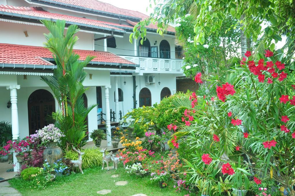 Angel Rest Hotel Mirissa Exterior photo