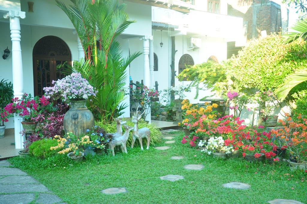 Angel Rest Hotel Mirissa Exterior photo